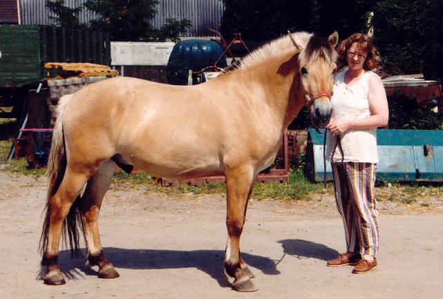 Hjerkinn zu Hause