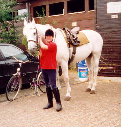 Bestanden